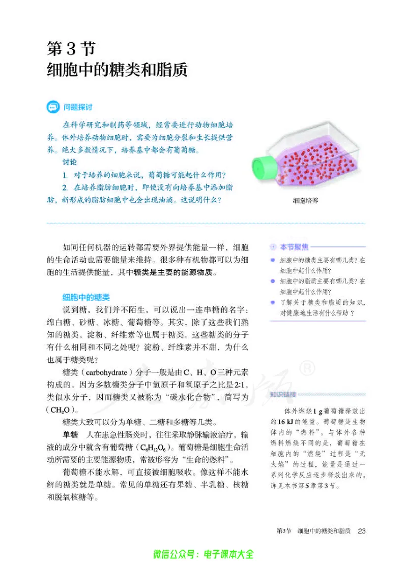 普通高中教科书生物学必修1分子与细胞_高中三年全科资料_高中_高中电子教材_高中生物学_人教版_旧