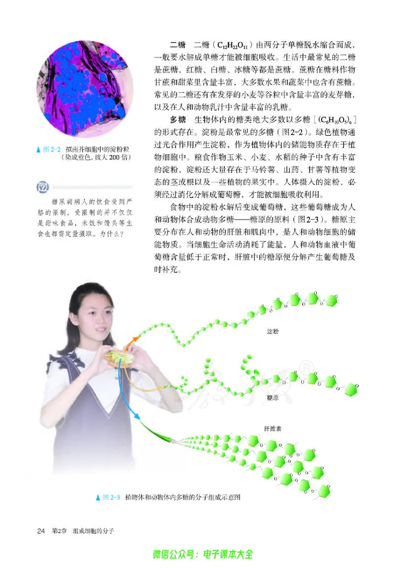 普通高中教科书生物学必修1分子与细胞_高中三年全科资料_高中_高中电子教材_高中生物学_人教版_旧