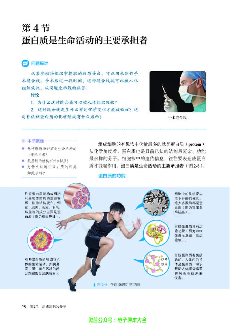 普通高中教科书生物学必修1分子与细胞_高中三年全科资料_高中_高中电子教材_高中生物学_人教版_旧