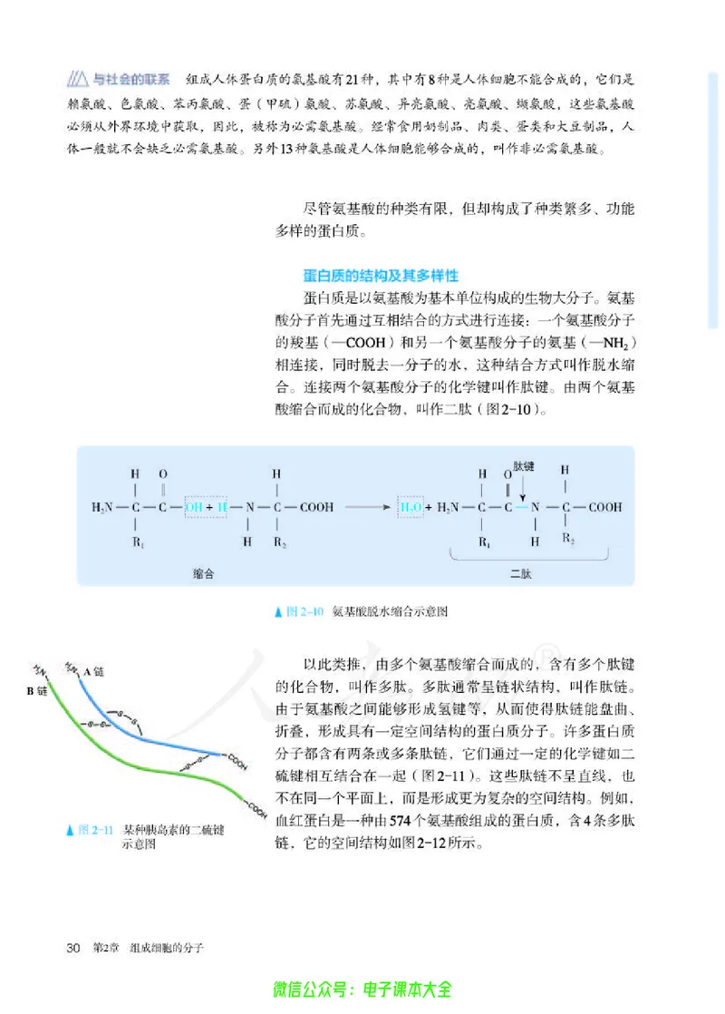 普通高中教科书生物学必修1分子与细胞_高中三年全科资料_高中_高中电子教材_高中生物学_人教版_旧