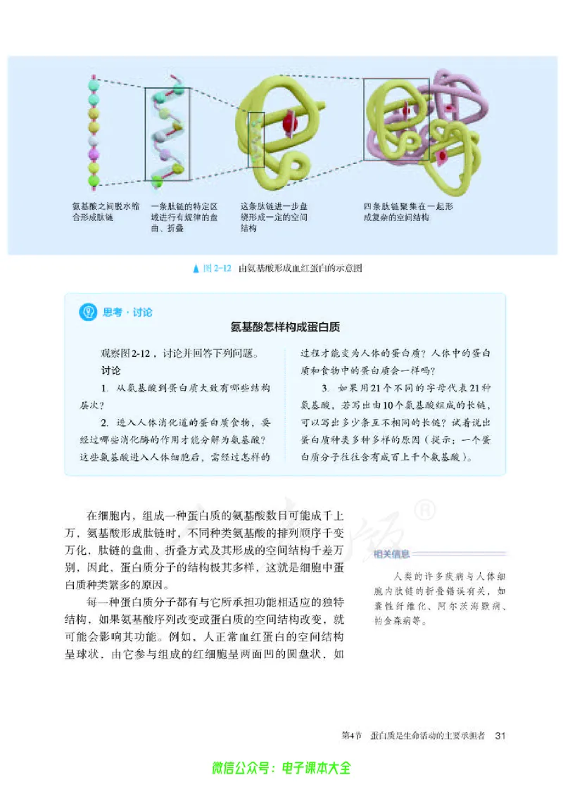 普通高中教科书生物学必修1分子与细胞_高中三年全科资料_高中_高中电子教材_高中生物学_人教版_旧