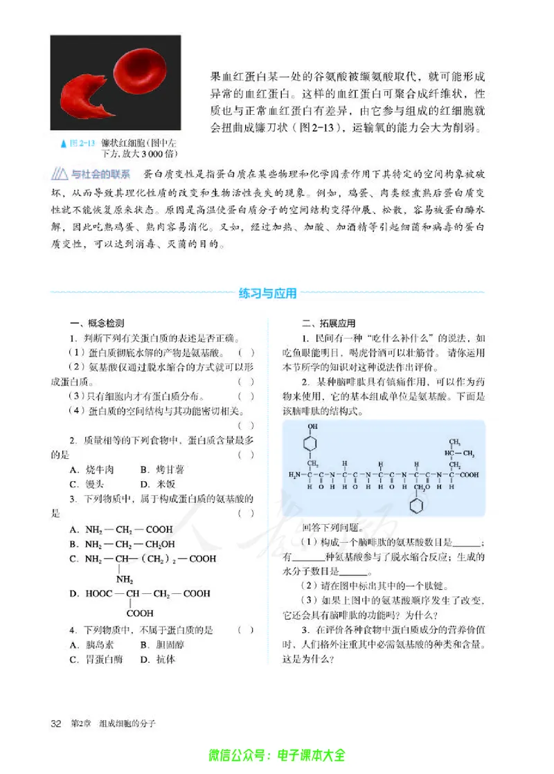 普通高中教科书生物学必修1分子与细胞_高中三年全科资料_高中_高中电子教材_高中生物学_人教版_旧