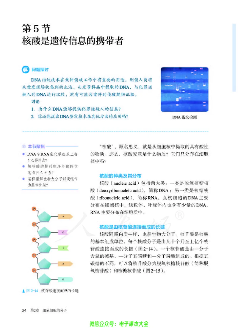 普通高中教科书生物学必修1分子与细胞_高中三年全科资料_高中_高中电子教材_高中生物学_人教版_旧