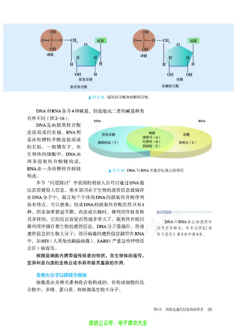普通高中教科书生物学必修1分子与细胞_高中三年全科资料_高中_高中电子教材_高中生物学_人教版_旧