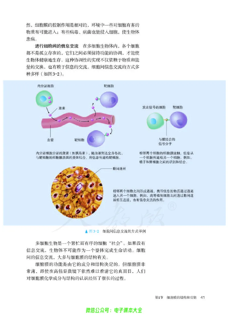 普通高中教科书生物学必修1分子与细胞_高中三年全科资料_高中_高中电子教材_高中生物学_人教版_旧