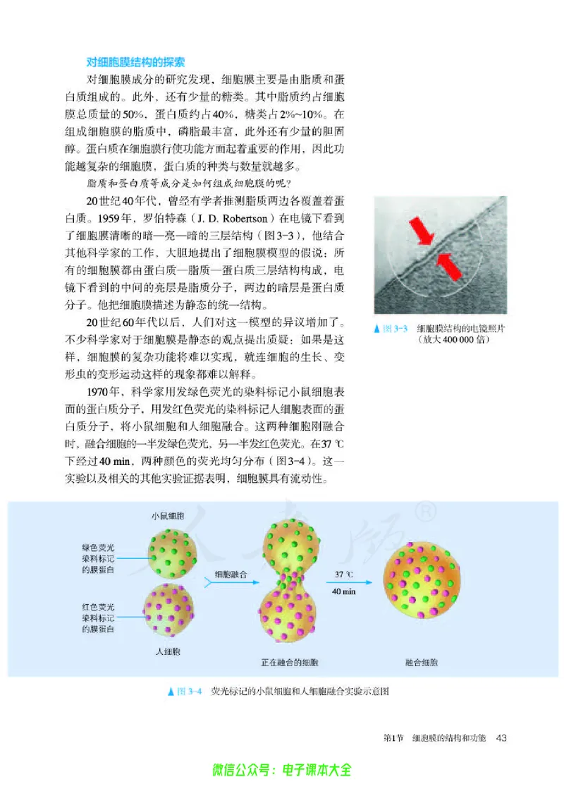 普通高中教科书生物学必修1分子与细胞_高中三年全科资料_高中_高中电子教材_高中生物学_人教版_旧