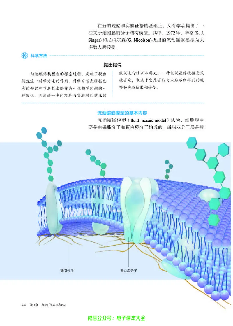 普通高中教科书生物学必修1分子与细胞_高中三年全科资料_高中_高中电子教材_高中生物学_人教版_旧