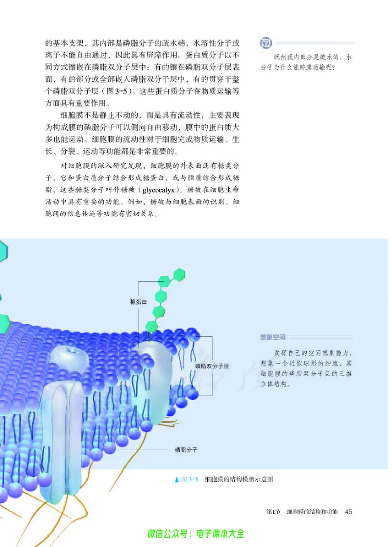 普通高中教科书生物学必修1分子与细胞_高中三年全科资料_高中_高中电子教材_高中生物学_人教版_旧