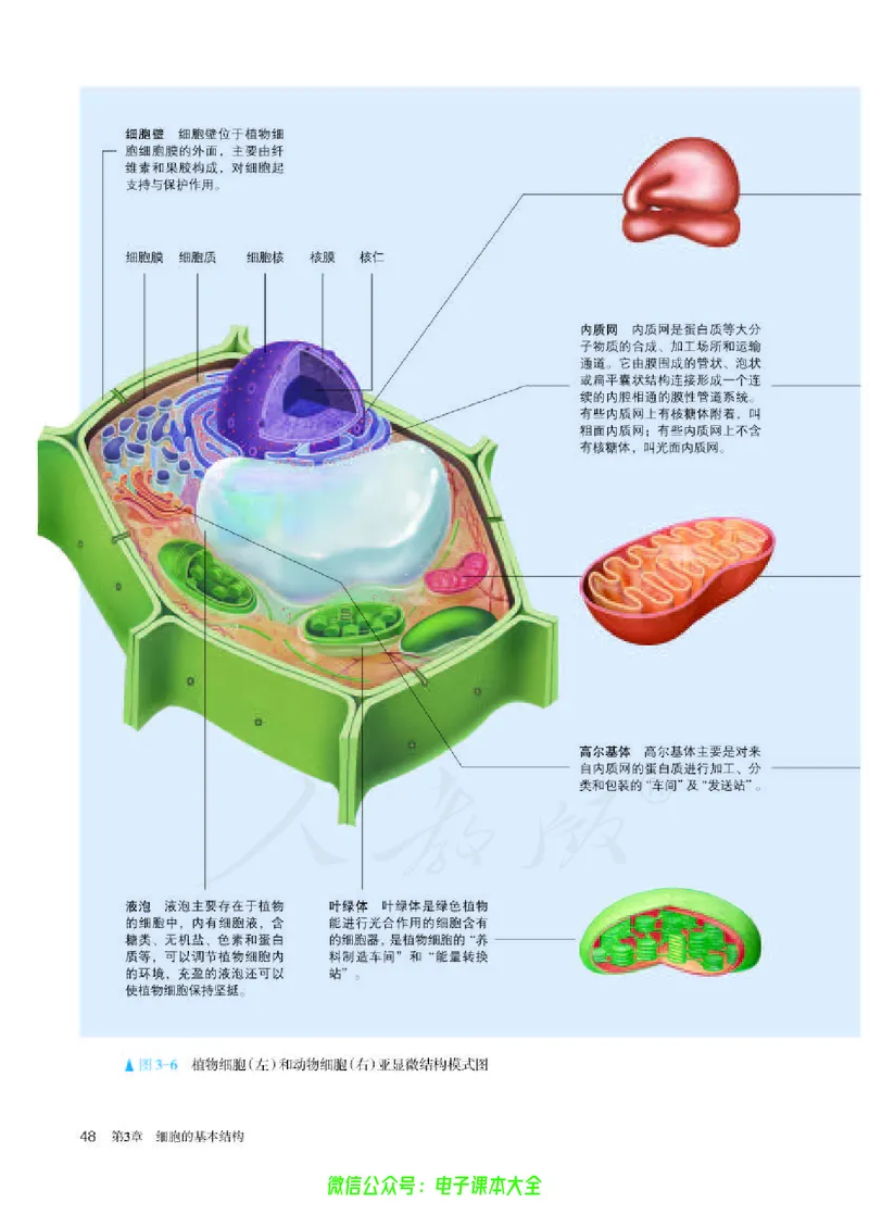 普通高中教科书生物学必修1分子与细胞_高中三年全科资料_高中_高中电子教材_高中生物学_人教版_旧