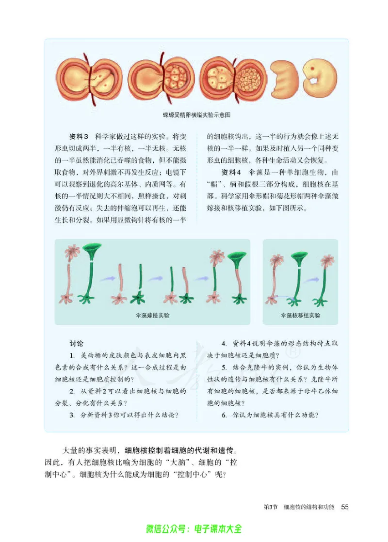 普通高中教科书生物学必修1分子与细胞_高中三年全科资料_高中_高中电子教材_高中生物学_人教版_旧