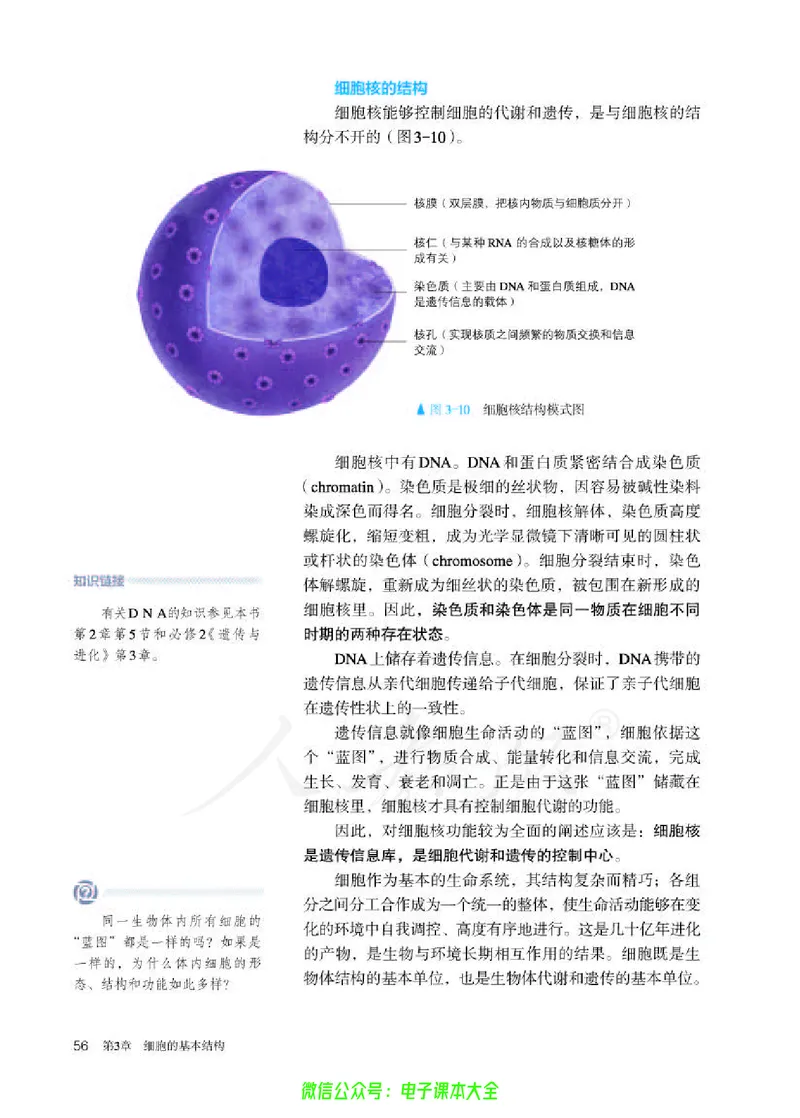 普通高中教科书生物学必修1分子与细胞_高中三年全科资料_高中_高中电子教材_高中生物学_人教版_旧