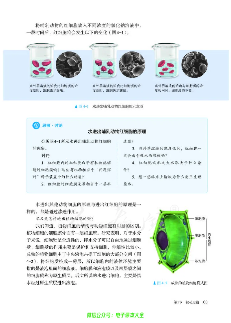 普通高中教科书生物学必修1分子与细胞_高中三年全科资料_高中_高中电子教材_高中生物学_人教版_旧