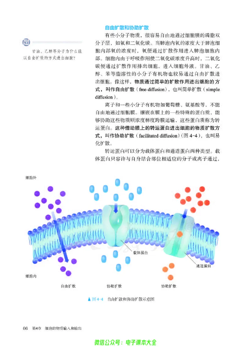 普通高中教科书生物学必修1分子与细胞_高中三年全科资料_高中_高中电子教材_高中生物学_人教版_旧