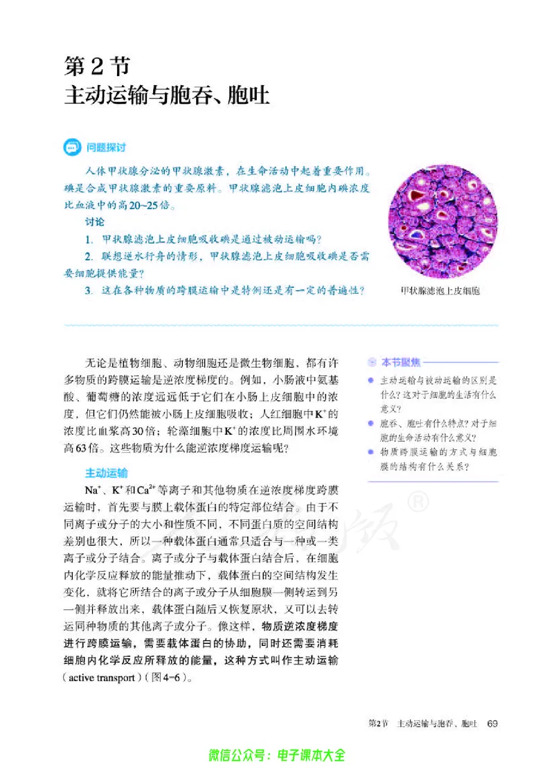 普通高中教科书生物学必修1分子与细胞_高中三年全科资料_高中_高中电子教材_高中生物学_人教版_旧
