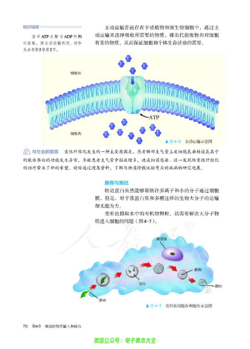 普通高中教科书生物学必修1分子与细胞_高中三年全科资料_高中_高中电子教材_高中生物学_人教版_旧