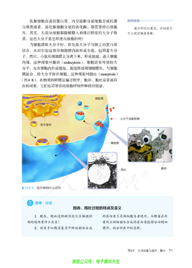 普通高中教科书生物学必修1分子与细胞_高中三年全科资料_高中_高中电子教材_高中生物学_人教版_旧