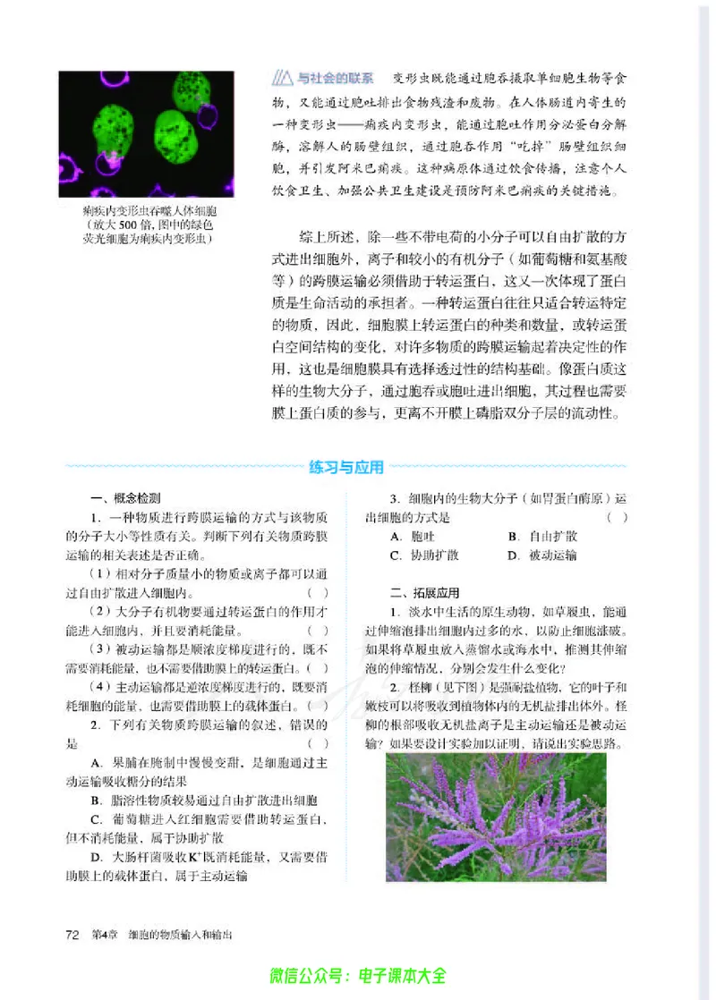 普通高中教科书生物学必修1分子与细胞_高中三年全科资料_高中_高中电子教材_高中生物学_人教版_旧