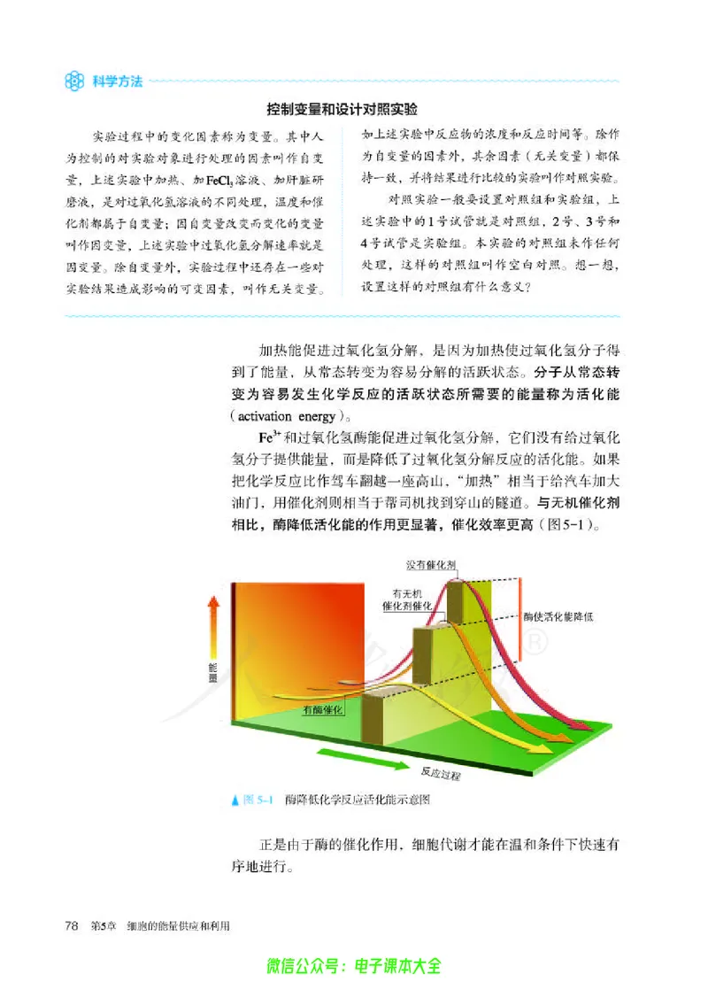 普通高中教科书生物学必修1分子与细胞_高中三年全科资料_高中_高中电子教材_高中生物学_人教版_旧