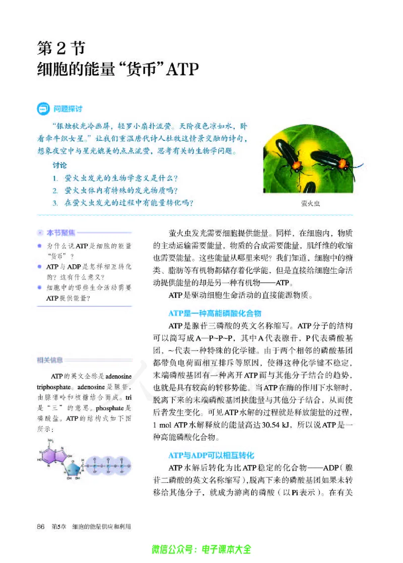 普通高中教科书生物学必修1分子与细胞_高中三年全科资料_高中_高中电子教材_高中生物学_人教版_旧