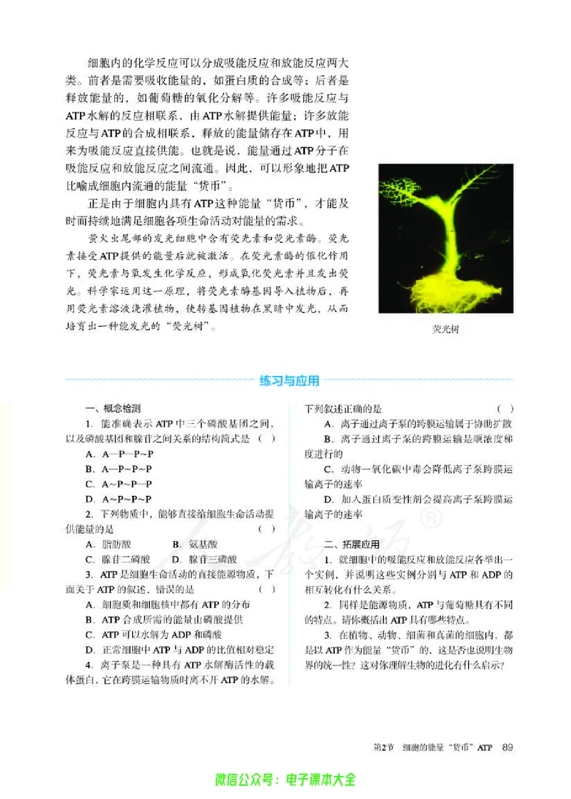 普通高中教科书生物学必修1分子与细胞_高中三年全科资料_高中_高中电子教材_高中生物学_人教版_旧