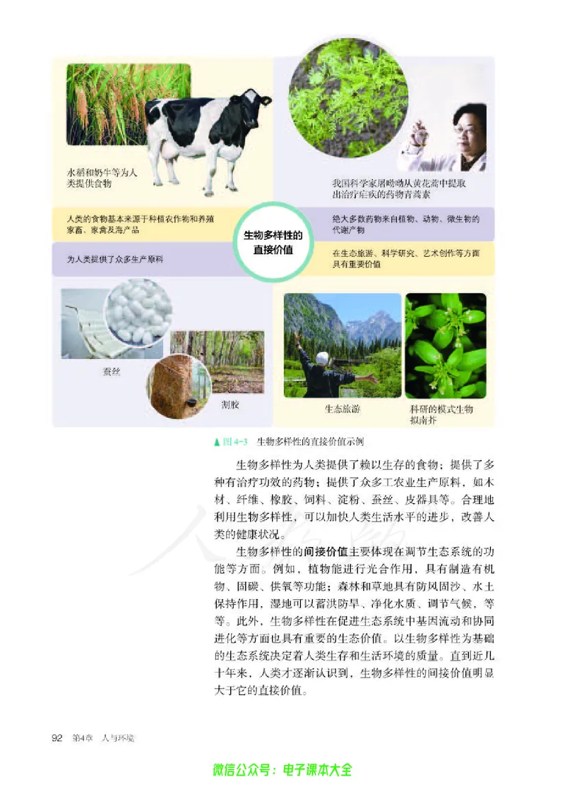 普通高中教科书生物学选择性必修2生物与环境_高中三年全科资料_高中_高中电子教材_高中生物学_人教版_旧