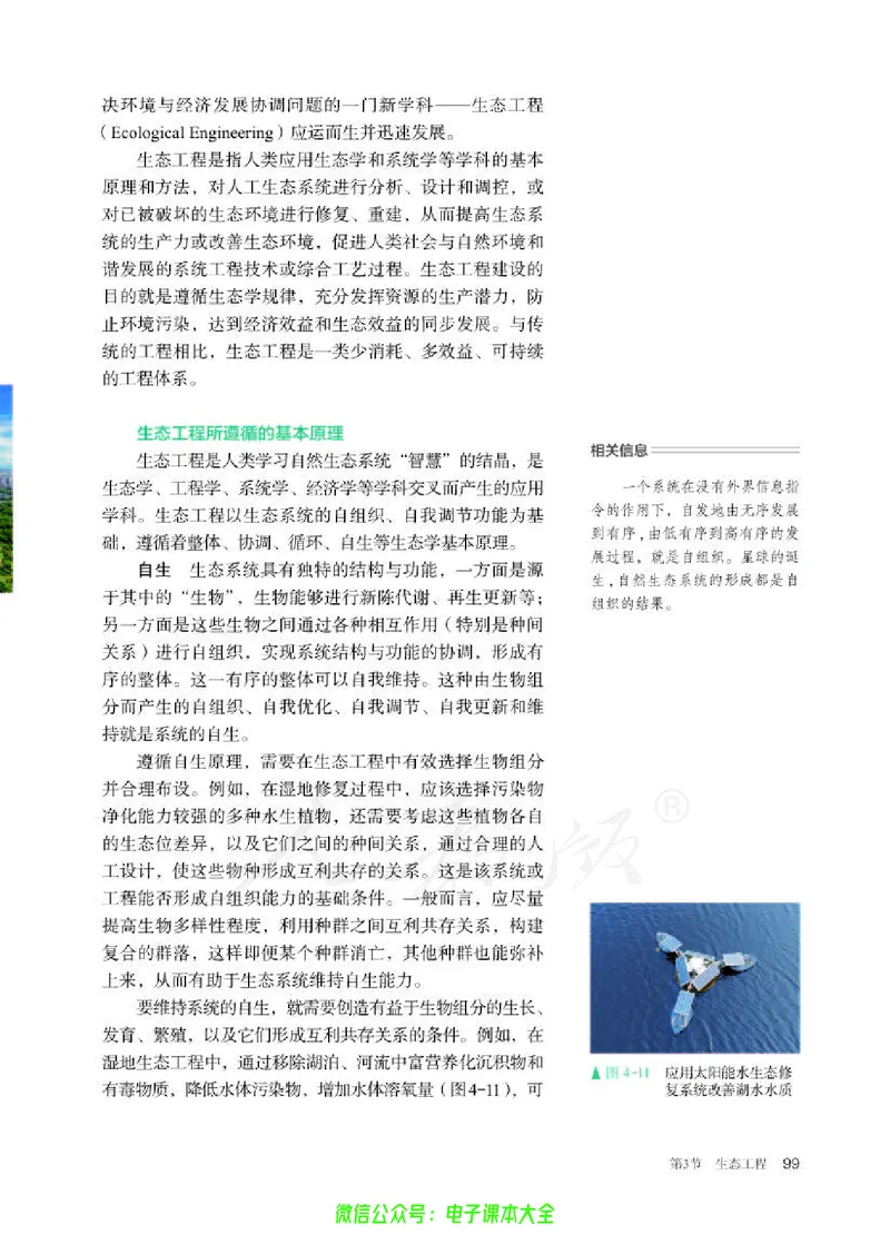 普通高中教科书生物学选择性必修2生物与环境_高中三年全科资料_高中_高中电子教材_高中生物学_人教版_旧