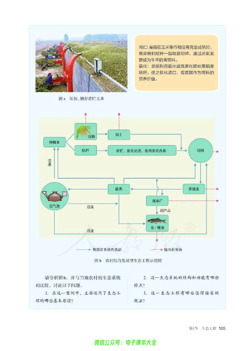 普通高中教科书生物学选择性必修2生物与环境_高中三年全科资料_高中_高中电子教材_高中生物学_人教版_旧
