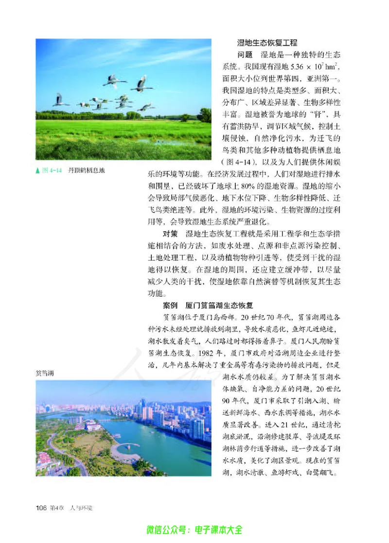 普通高中教科书生物学选择性必修2生物与环境_高中三年全科资料_高中_高中电子教材_高中生物学_人教版_旧