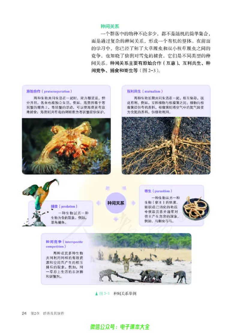 普通高中教科书生物学选择性必修2生物与环境_高中三年全科资料_高中_高中电子教材_高中生物学_人教版_旧