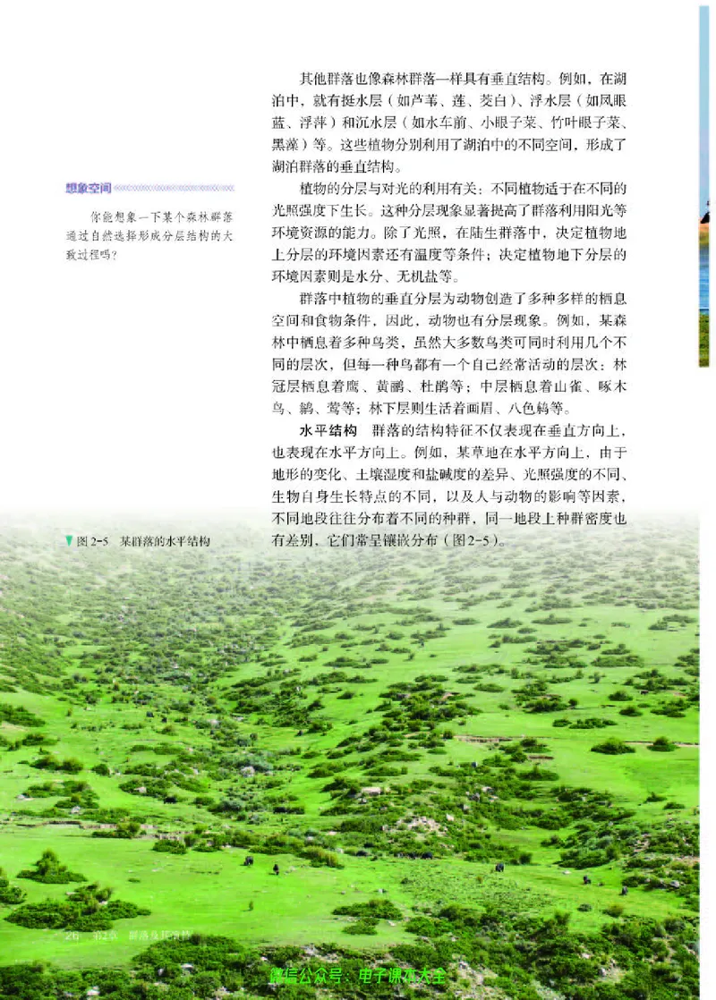 普通高中教科书生物学选择性必修2生物与环境_高中三年全科资料_高中_高中电子教材_高中生物学_人教版_旧