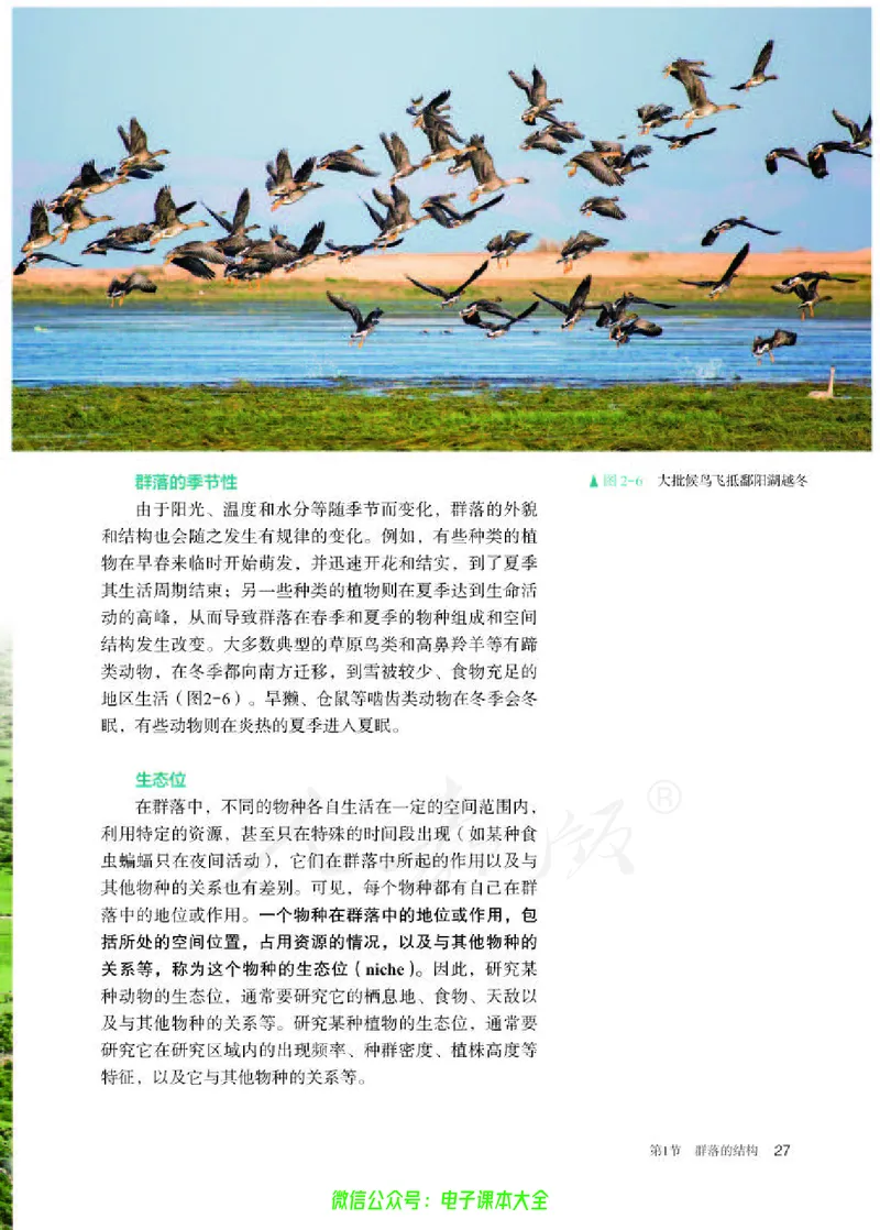 普通高中教科书生物学选择性必修2生物与环境_高中三年全科资料_高中_高中电子教材_高中生物学_人教版_旧