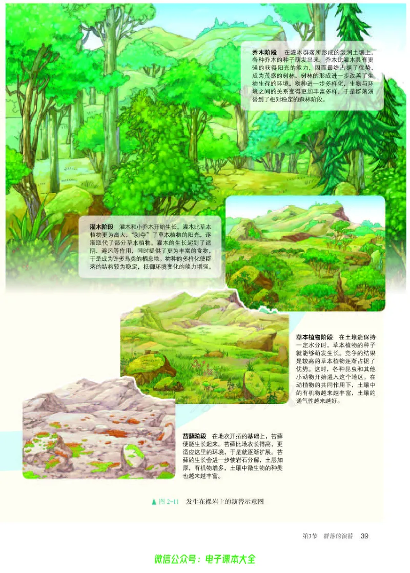 普通高中教科书生物学选择性必修2生物与环境_高中三年全科资料_高中_高中电子教材_高中生物学_人教版_旧