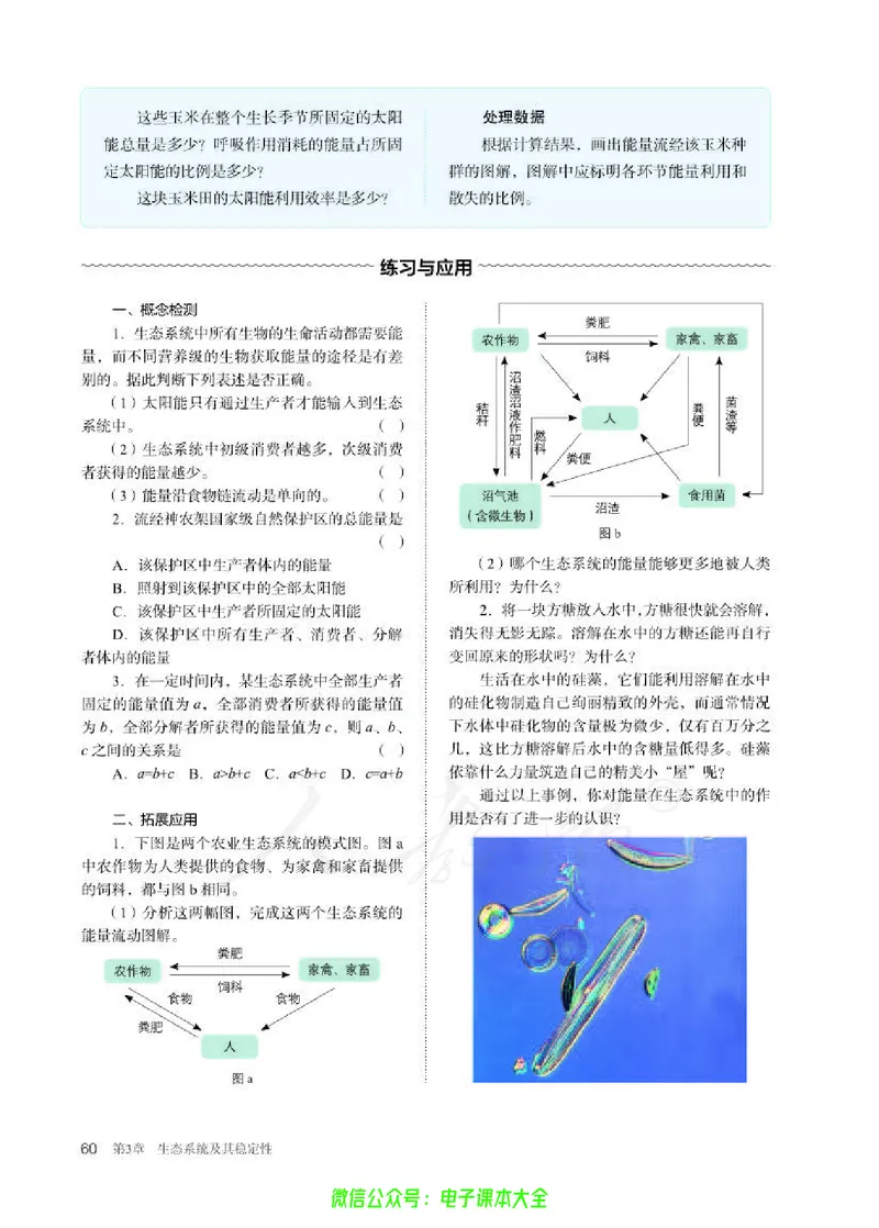 普通高中教科书生物学选择性必修2生物与环境_高中三年全科资料_高中_高中电子教材_高中生物学_人教版_旧