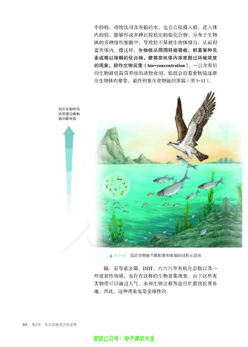 普通高中教科书生物学选择性必修2生物与环境_高中三年全科资料_高中_高中电子教材_高中生物学_人教版_旧