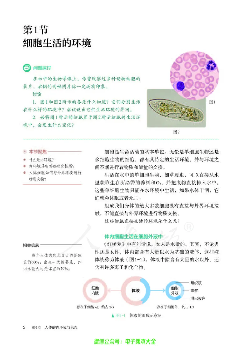 普通高中教科书生物学选择性必修1稳态与调节_高中三年全科资料_高中_高中电子教材_高中生物学_人教版_旧