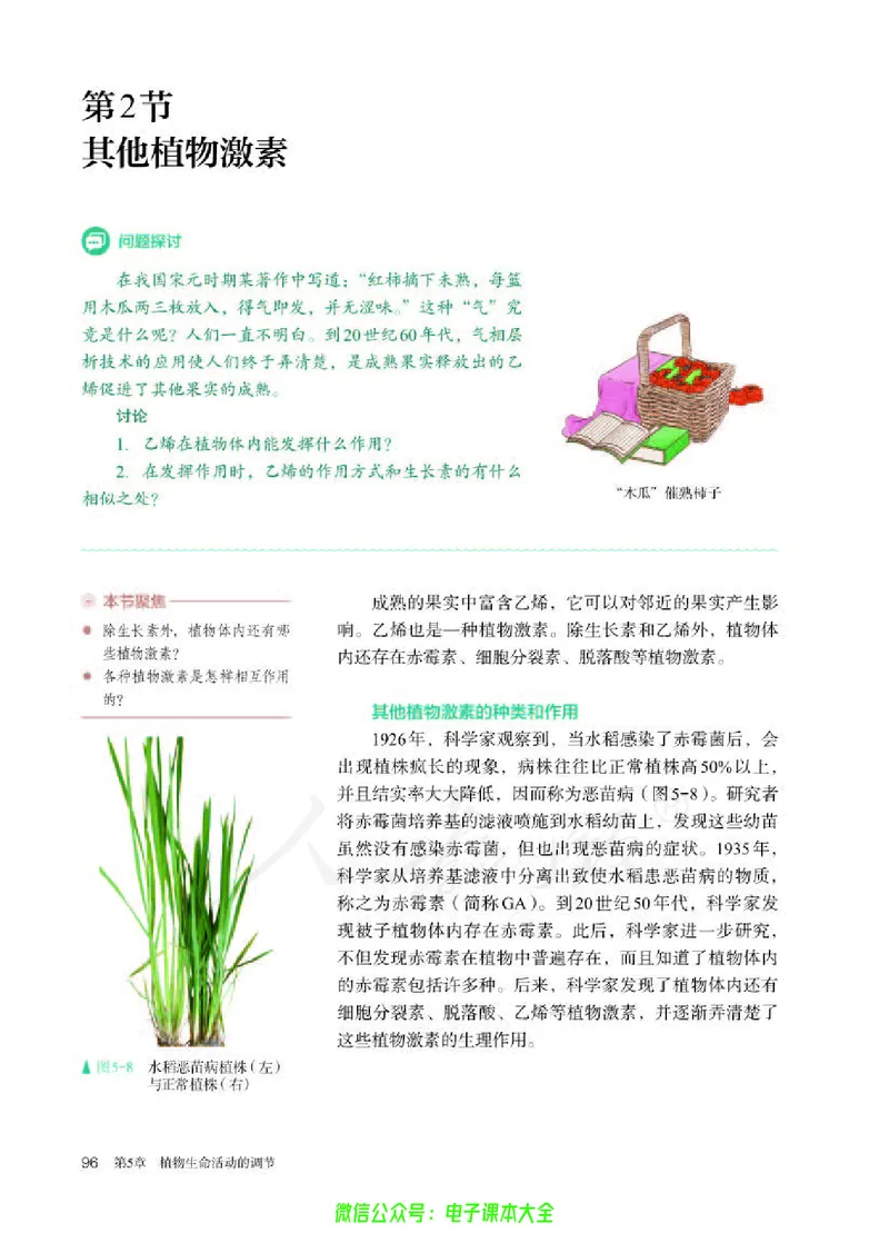 普通高中教科书生物学选择性必修1稳态与调节_高中三年全科资料_高中_高中电子教材_高中生物学_人教版_旧
