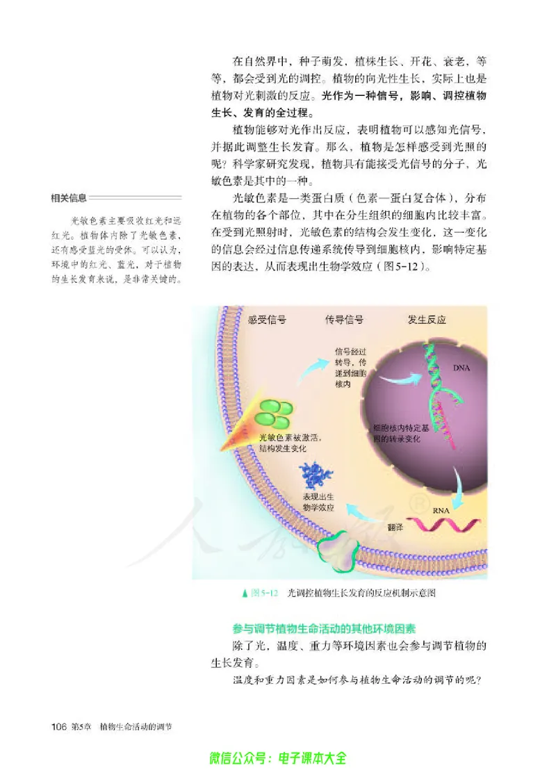 普通高中教科书生物学选择性必修1稳态与调节_高中三年全科资料_高中_高中电子教材_高中生物学_人教版_旧