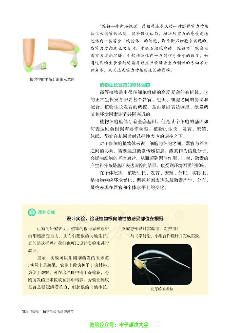 普通高中教科书生物学选择性必修1稳态与调节_高中三年全科资料_高中_高中电子教材_高中生物学_人教版_旧