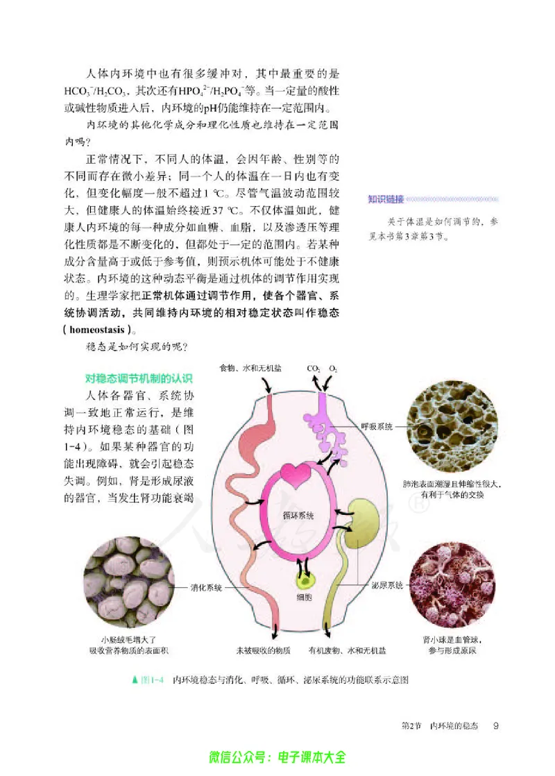 普通高中教科书生物学选择性必修1稳态与调节_高中三年全科资料_高中_高中电子教材_高中生物学_人教版_旧