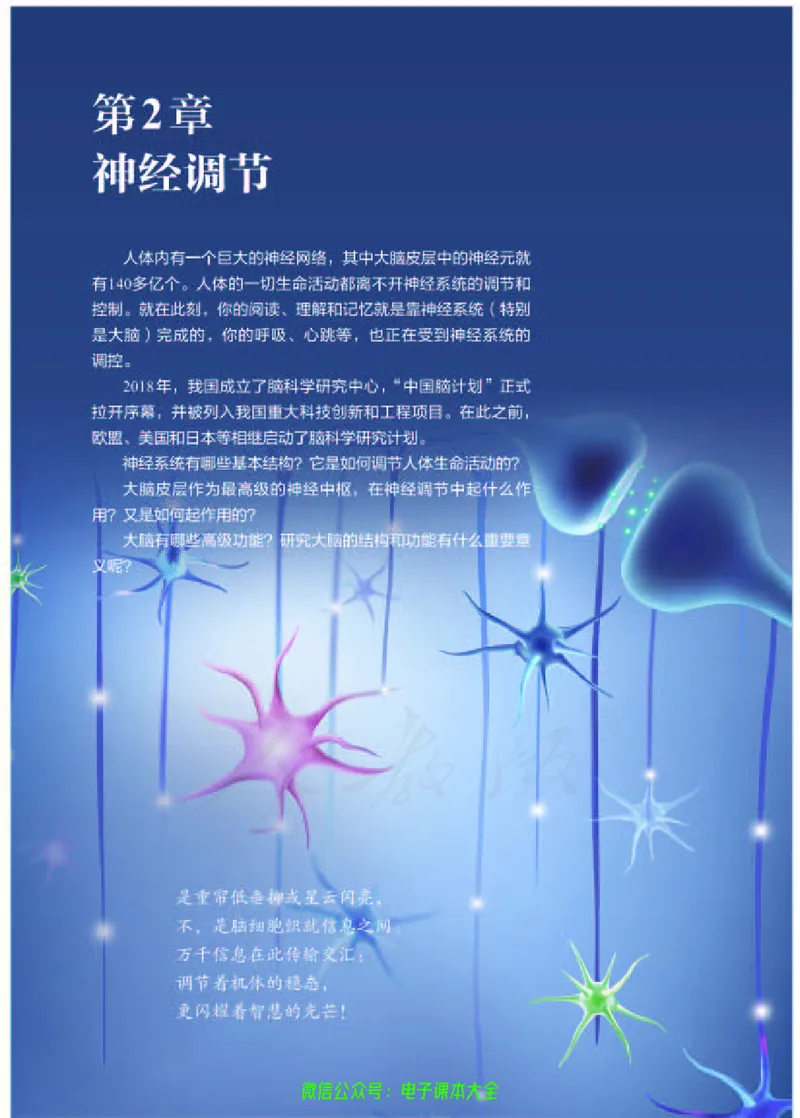 普通高中教科书生物学选择性必修1稳态与调节_高中三年全科资料_高中_高中电子教材_高中生物学_人教版_旧