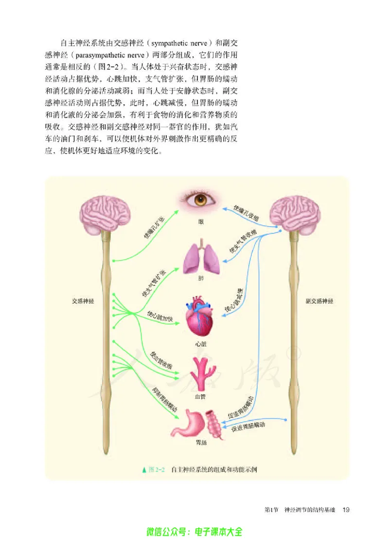 普通高中教科书生物学选择性必修1稳态与调节_高中三年全科资料_高中_高中电子教材_高中生物学_人教版_旧