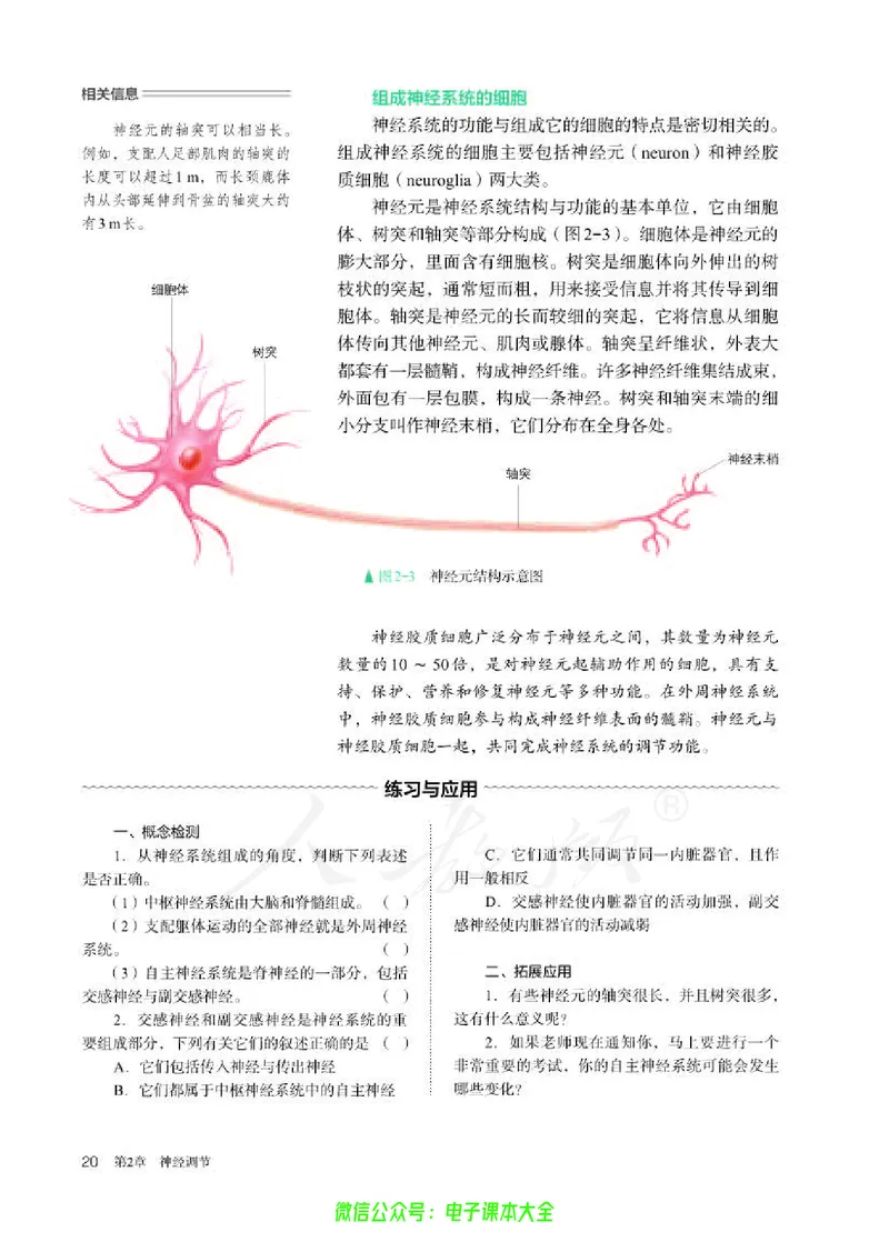 普通高中教科书生物学选择性必修1稳态与调节_高中三年全科资料_高中_高中电子教材_高中生物学_人教版_旧