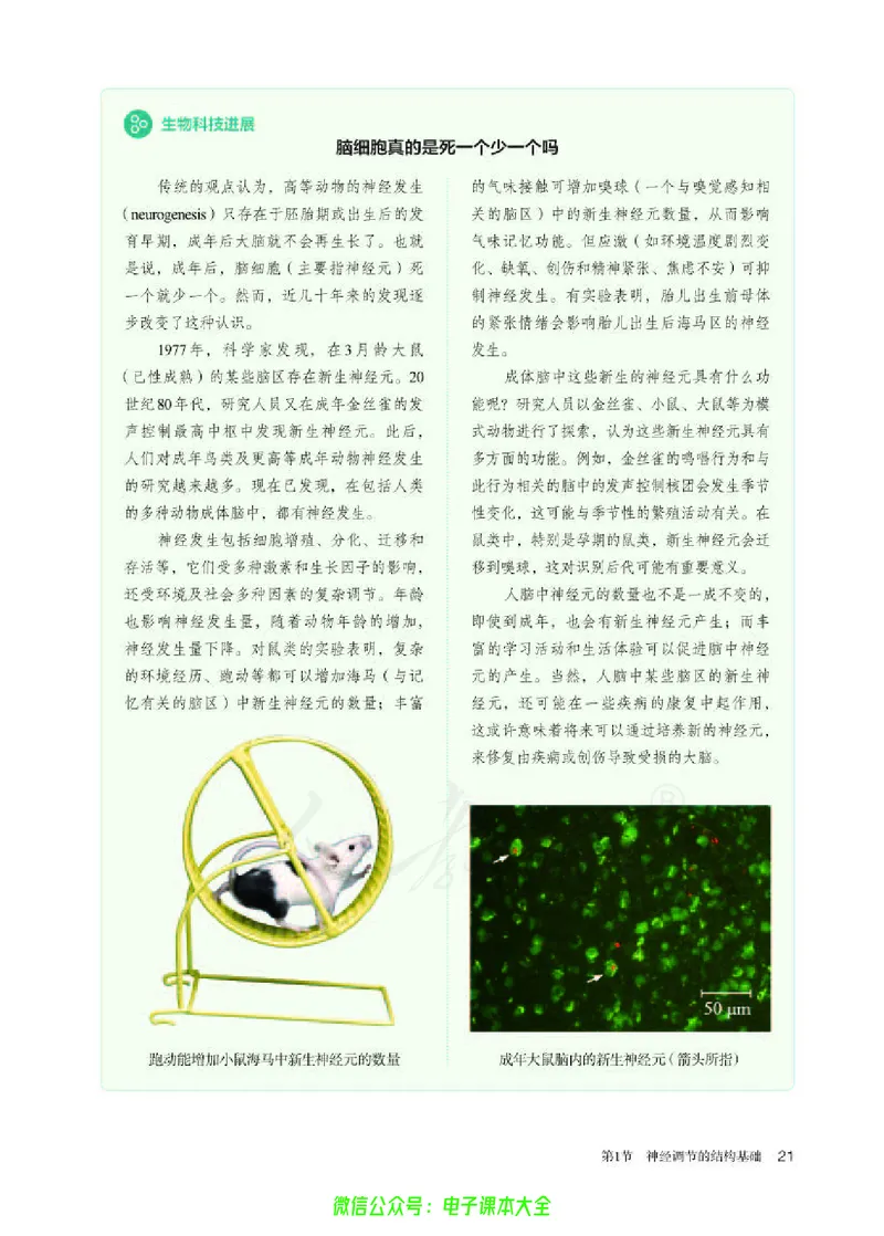 普通高中教科书生物学选择性必修1稳态与调节_高中三年全科资料_高中_高中电子教材_高中生物学_人教版_旧