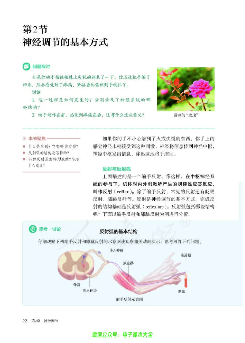普通高中教科书生物学选择性必修1稳态与调节_高中三年全科资料_高中_高中电子教材_高中生物学_人教版_旧