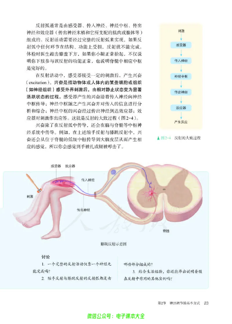 普通高中教科书生物学选择性必修1稳态与调节_高中三年全科资料_高中_高中电子教材_高中生物学_人教版_旧