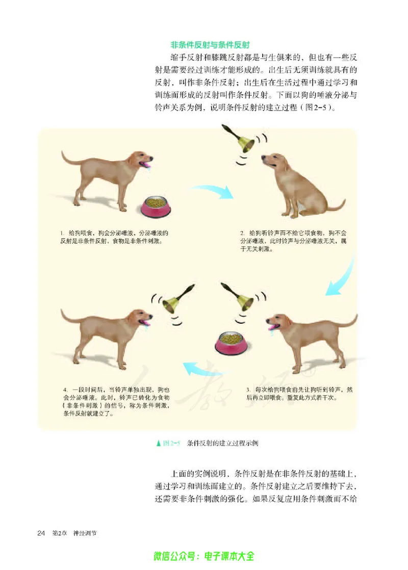 普通高中教科书生物学选择性必修1稳态与调节_高中三年全科资料_高中_高中电子教材_高中生物学_人教版_旧