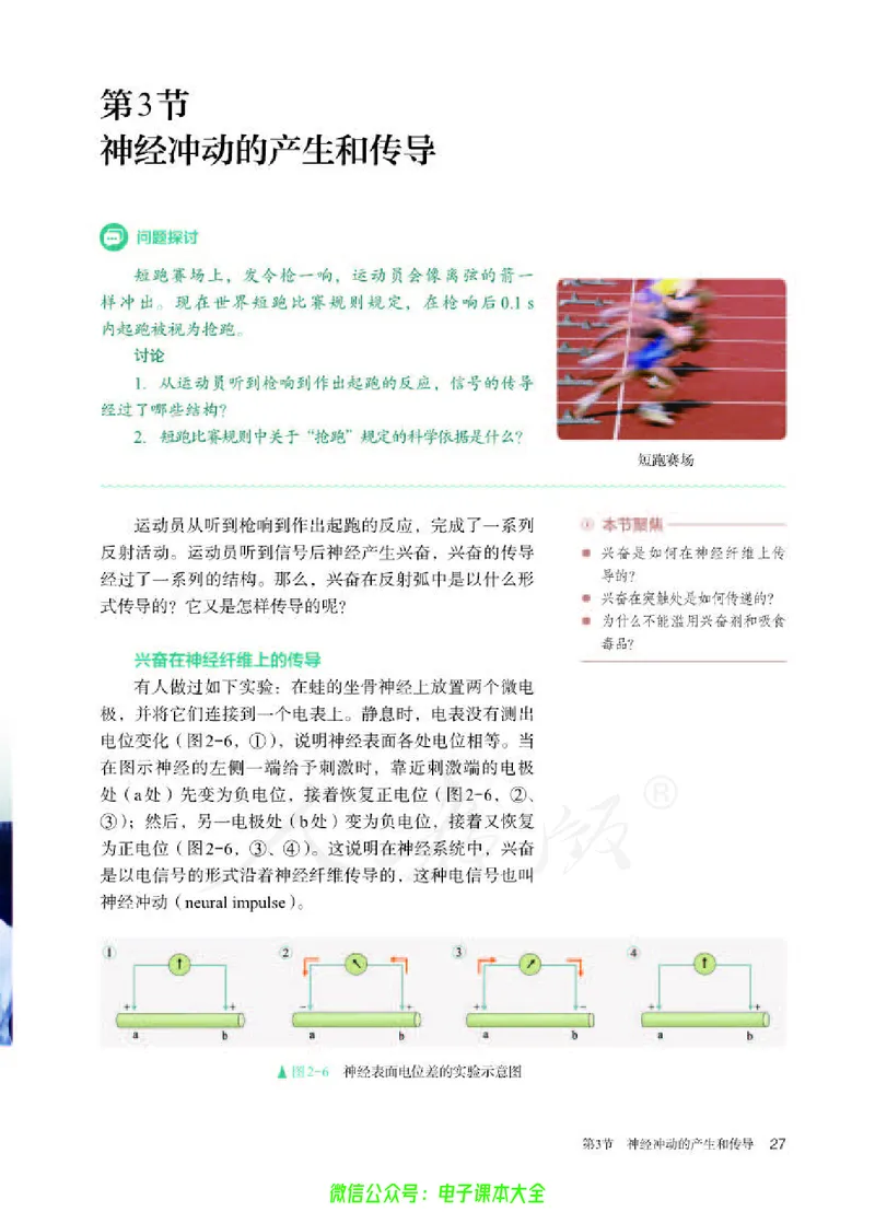 普通高中教科书生物学选择性必修1稳态与调节_高中三年全科资料_高中_高中电子教材_高中生物学_人教版_旧