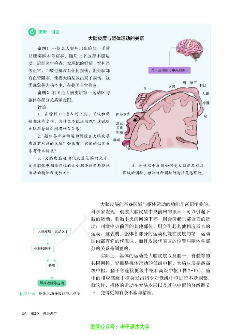 普通高中教科书生物学选择性必修1稳态与调节_高中三年全科资料_高中_高中电子教材_高中生物学_人教版_旧