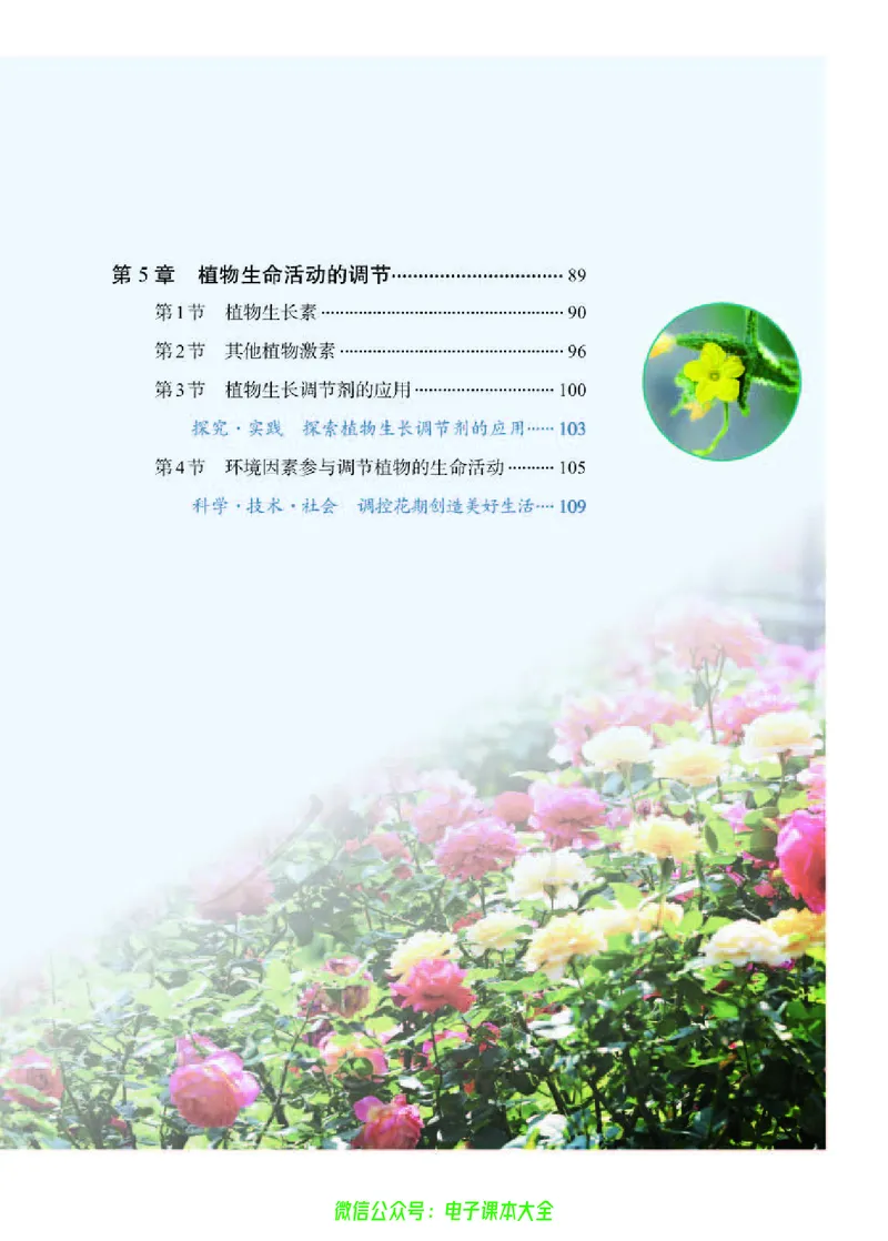 普通高中教科书生物学选择性必修1稳态与调节_高中三年全科资料_高中_高中电子教材_高中生物学_人教版_旧