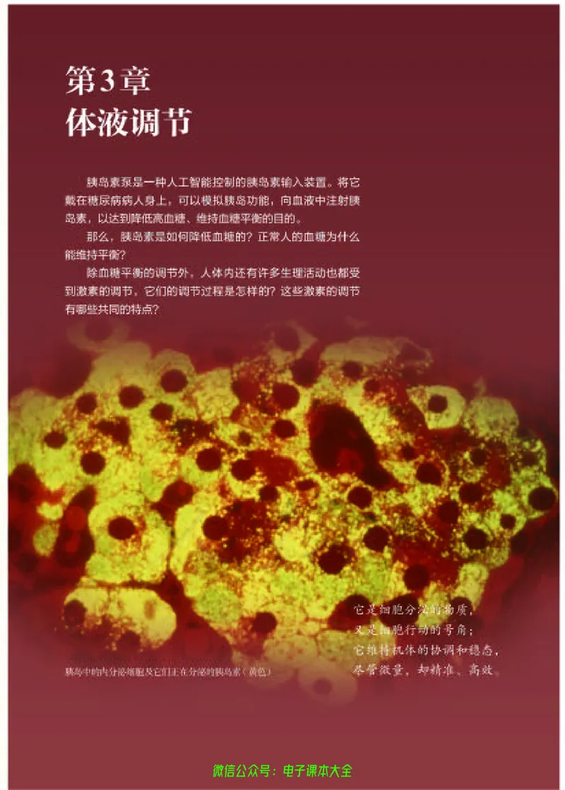 普通高中教科书生物学选择性必修1稳态与调节_高中三年全科资料_高中_高中电子教材_高中生物学_人教版_旧